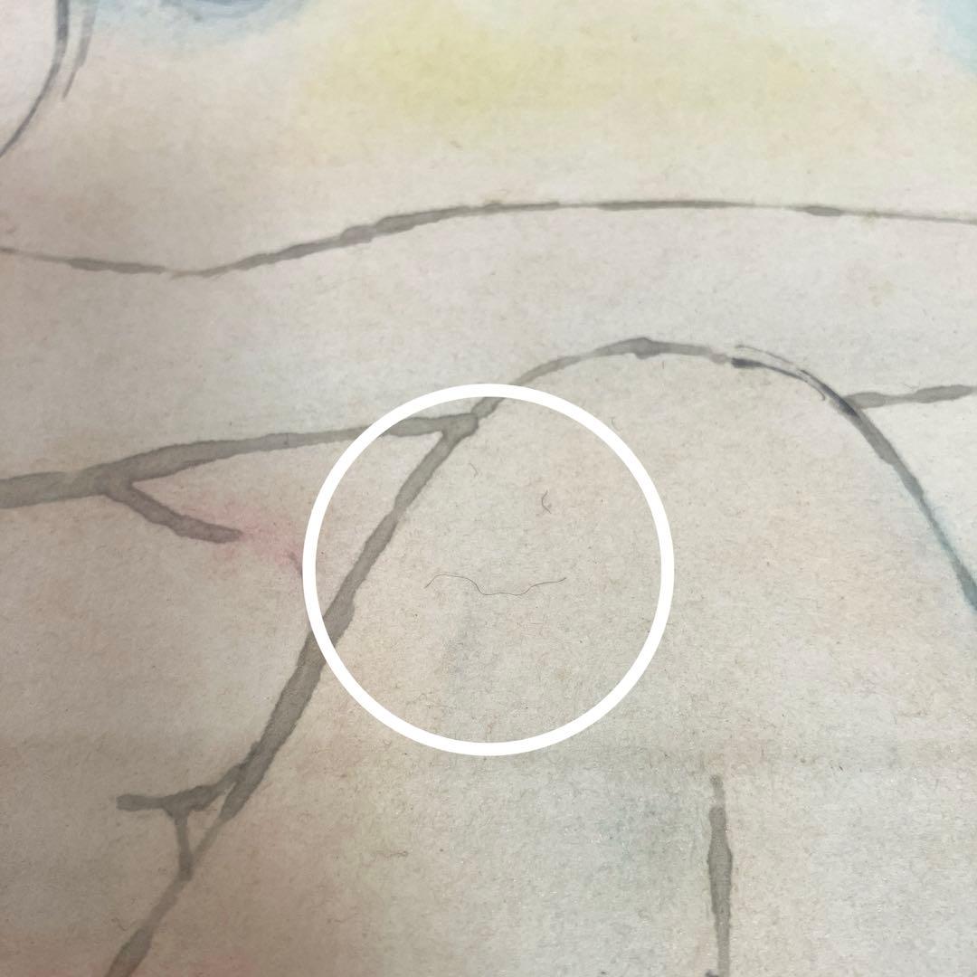 水森亜土 水彩画 色紙 空とぶバッシュ 額入り