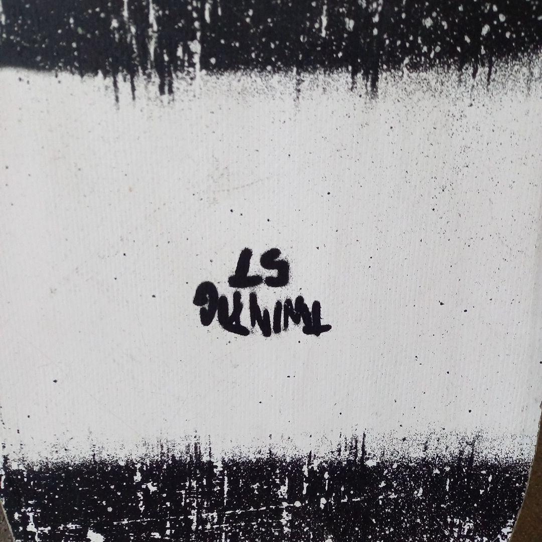 【極太・激レア】RIDE TWINPIG 157 2019モデル ツインチップ