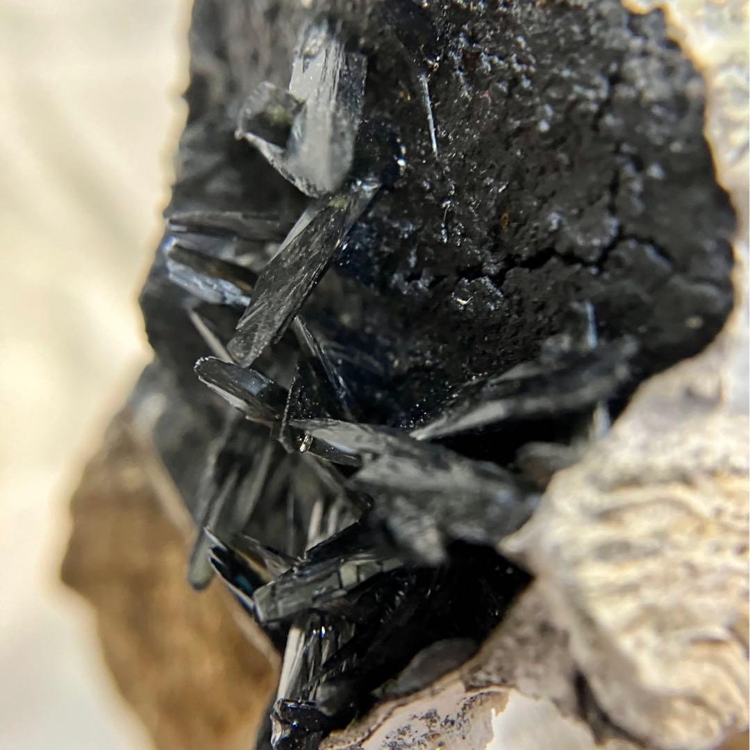 希少 ヴィヴィアナイト シェルフォッシル 藍鉄鉱 貝化石 原石 標本 118g