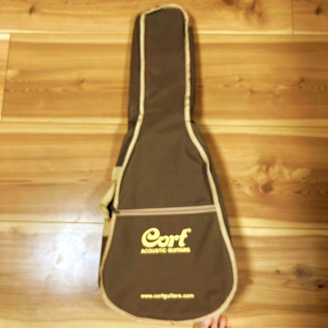 ギター cort Earth MINI