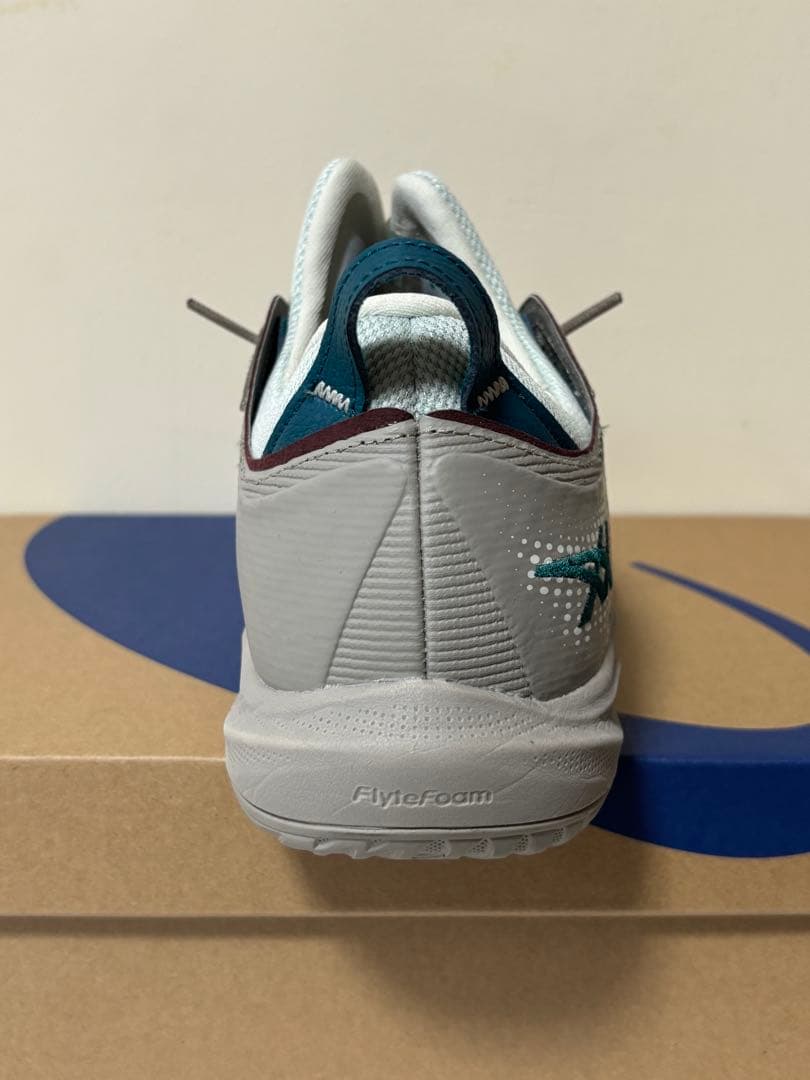 シューズ(男性用) asics glide nova ff4