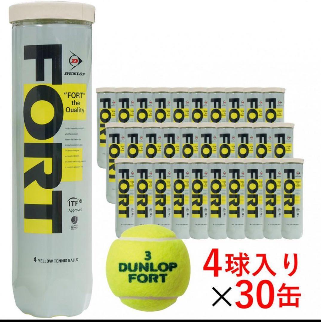 DUNLOP FORT テニスボール 4球入り×30缶