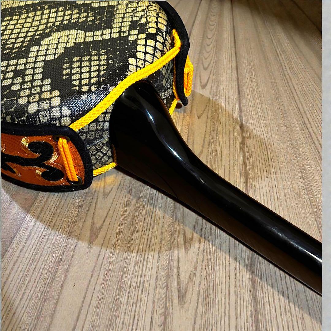 ほぼ未使用級❣️極美品✨ 沖縄三線 人工皮 蛇柄胴 琉球唐草刺繍 ハードケース付き