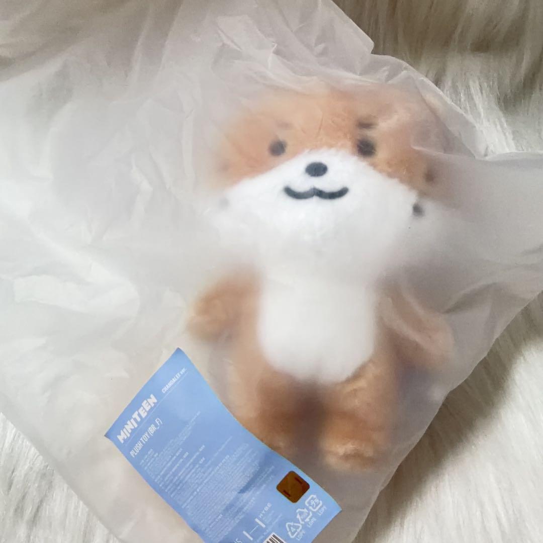 ミニティーン　ディノ　チャンダリ　ぬいぐるみSEVENTEEN プラッシュトイ