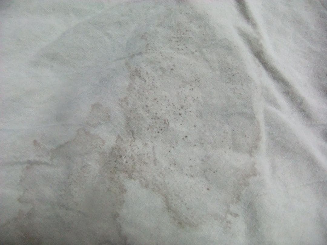 スウェーデン軍 テント ツェルトバーン 軍幕