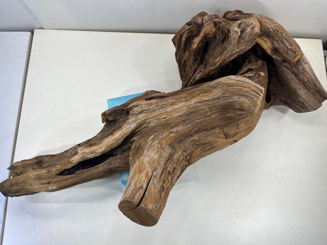 V70特大流木 アク抜き済み流木 爬虫類シェルター 登り木 インテリア 生け花