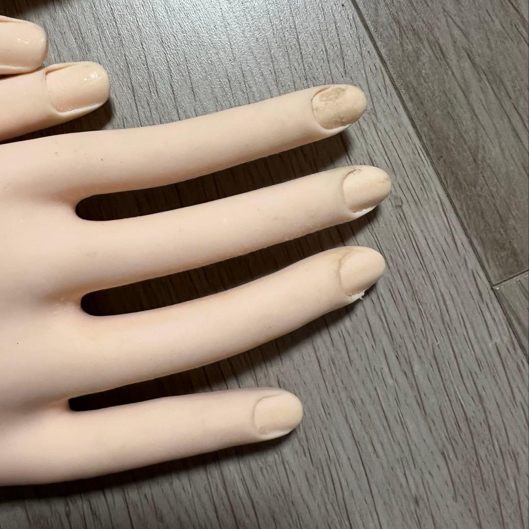 JNEC 認定モデルハンド(骨折なし)