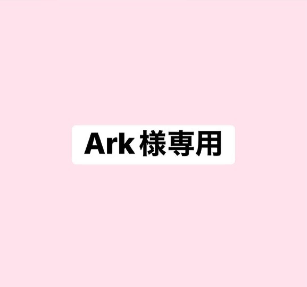 ピンズ・ピンバッジ・缶バッジ Ark