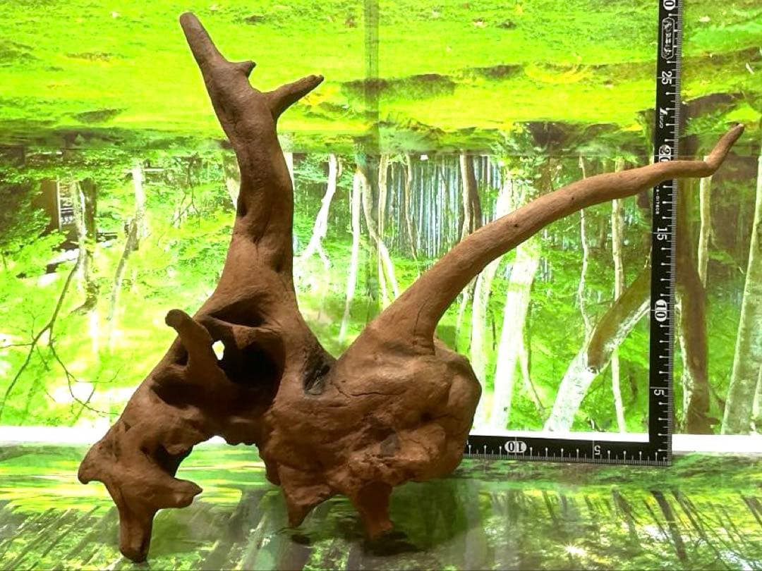 モスキート4点 天然水槽用流木