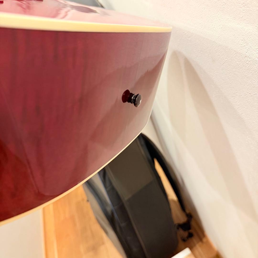 MORRIS G-021 ギター Reunion Blues RBC03 ケース