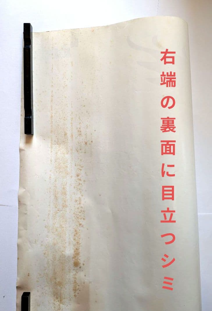 ストラングラーズ 1979年 ザ•レイヴン 貴重 プロモポスター 新品•未使用品