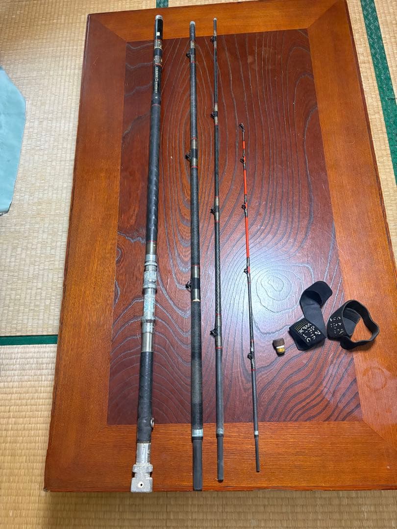 カーボウイスカー　尖閣100号　484