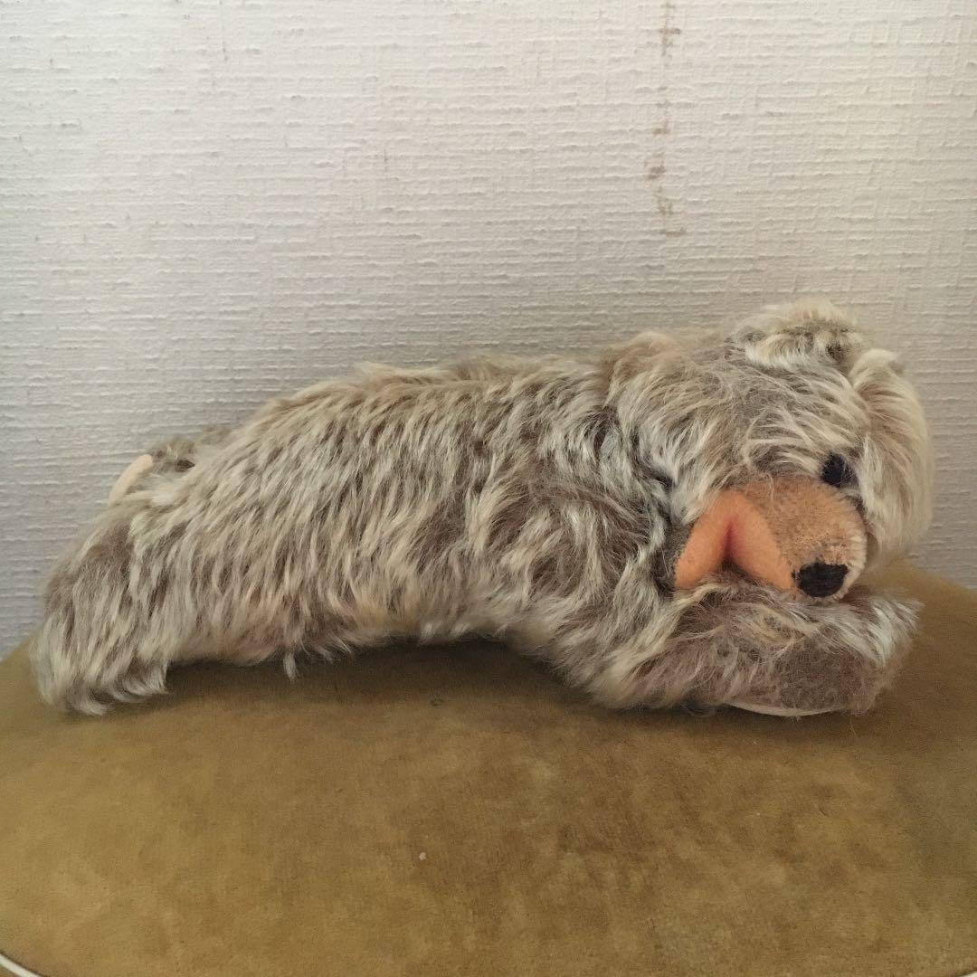 寝転び　ゾッティ