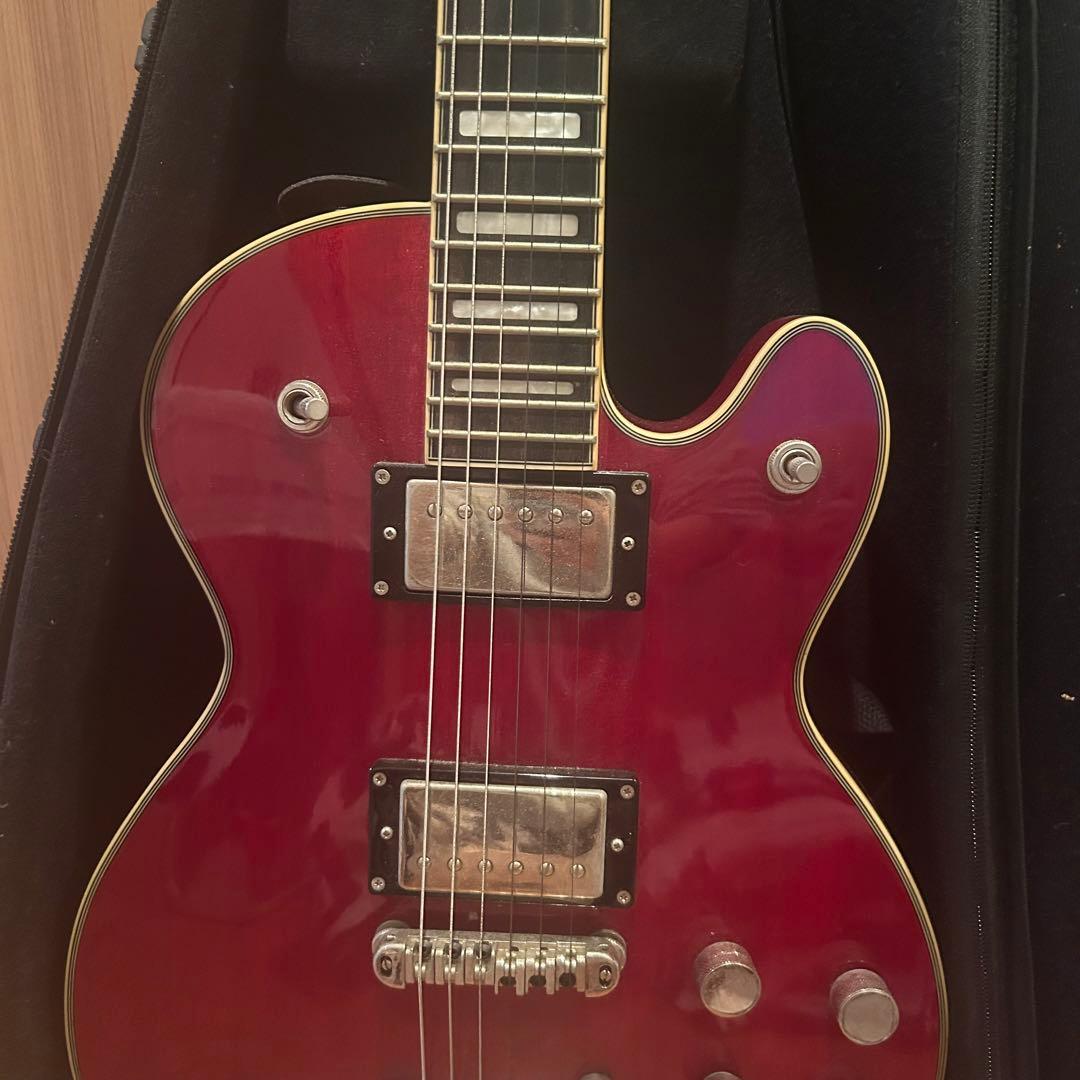 エレキギター ハムバッカー ビグスビー レスポールタイプ