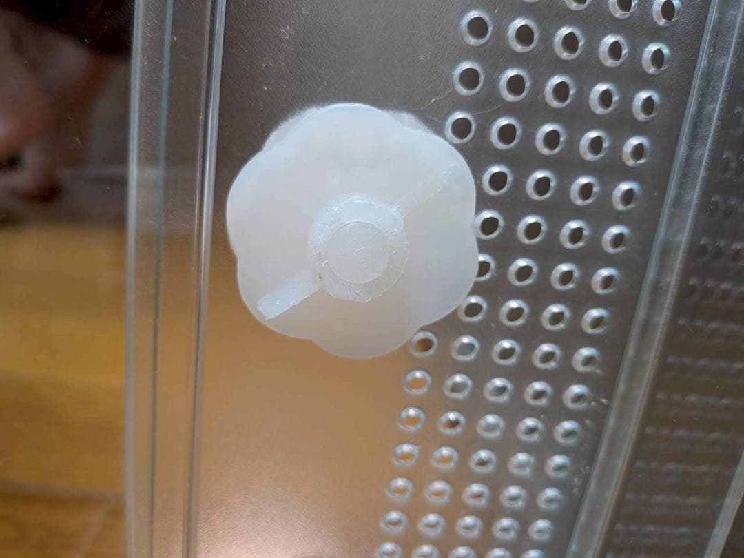 【送料無料】ハムスター飼育用品セット　おまけ付き