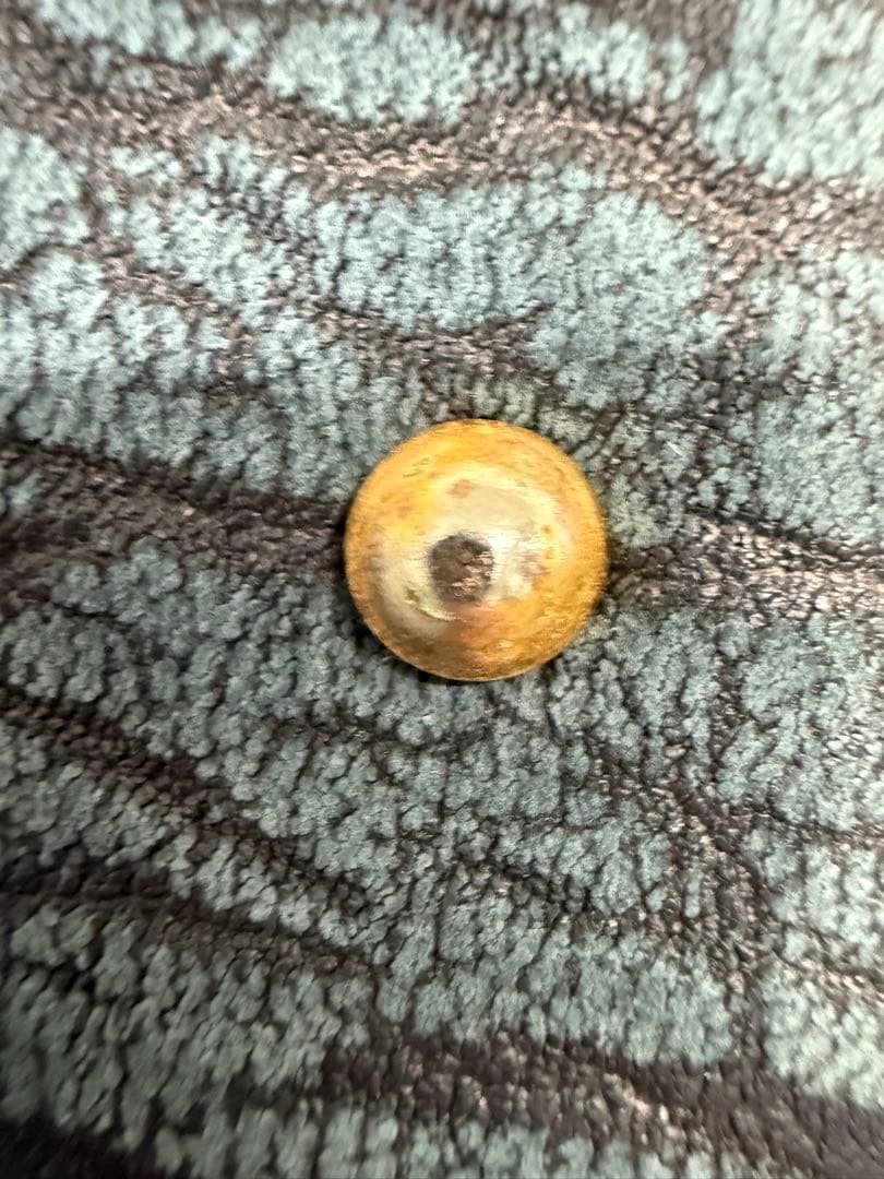 ★未使用級★ JRA認定 アザラシ本革 ハンドバッグ 鍵付き 高級感漂う逸品♪