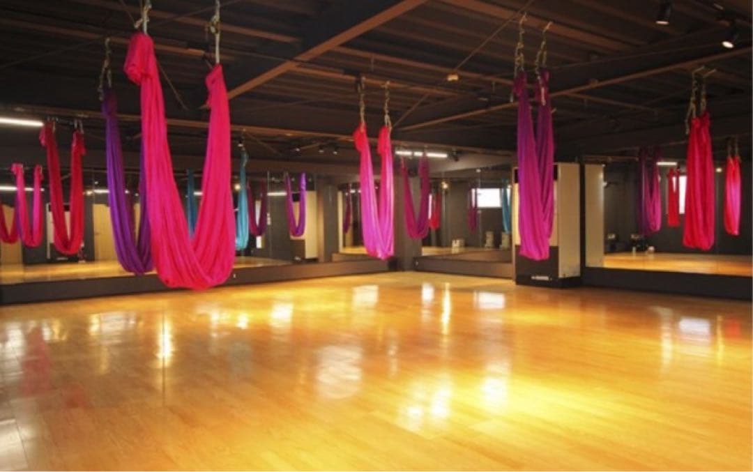 フライングヨガ ハンモック 11点セット 吊り下げ可能 紫/ピンク/水色