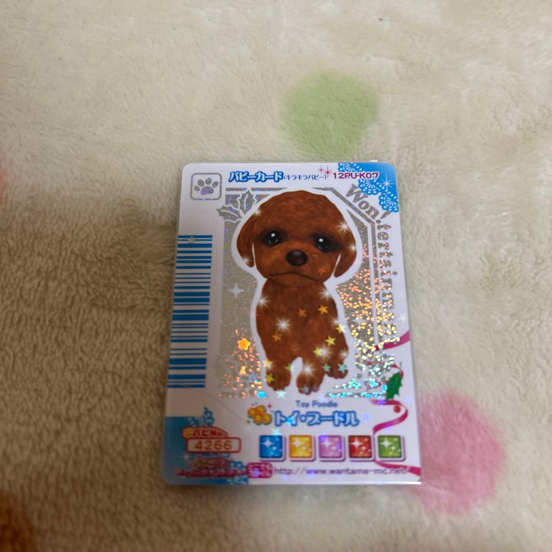 ワンタメ　カード　m＊プロフ必読様確認用