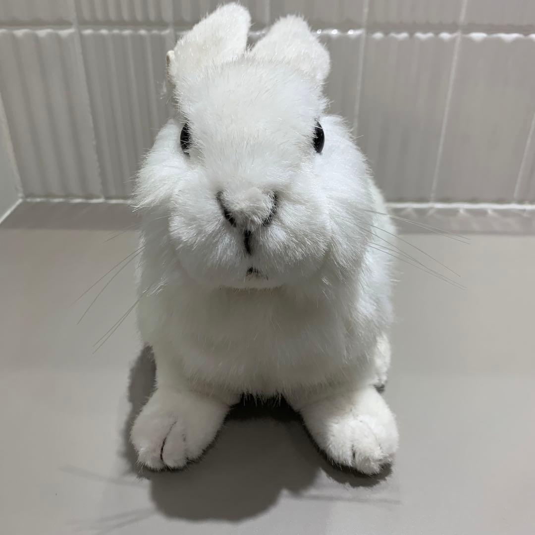 極美品　kosen ケーセン　ぬいぐるみ 　うさぎ　白　ホワイト　White