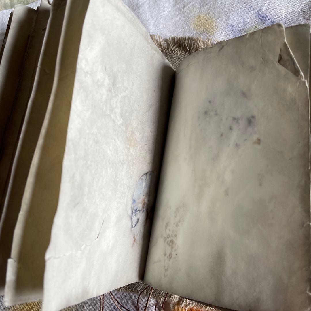 7月20日　ぱおら様2冊　「花ゲリラの本」　 「襤褸の本13〜路地裏の本2〜」