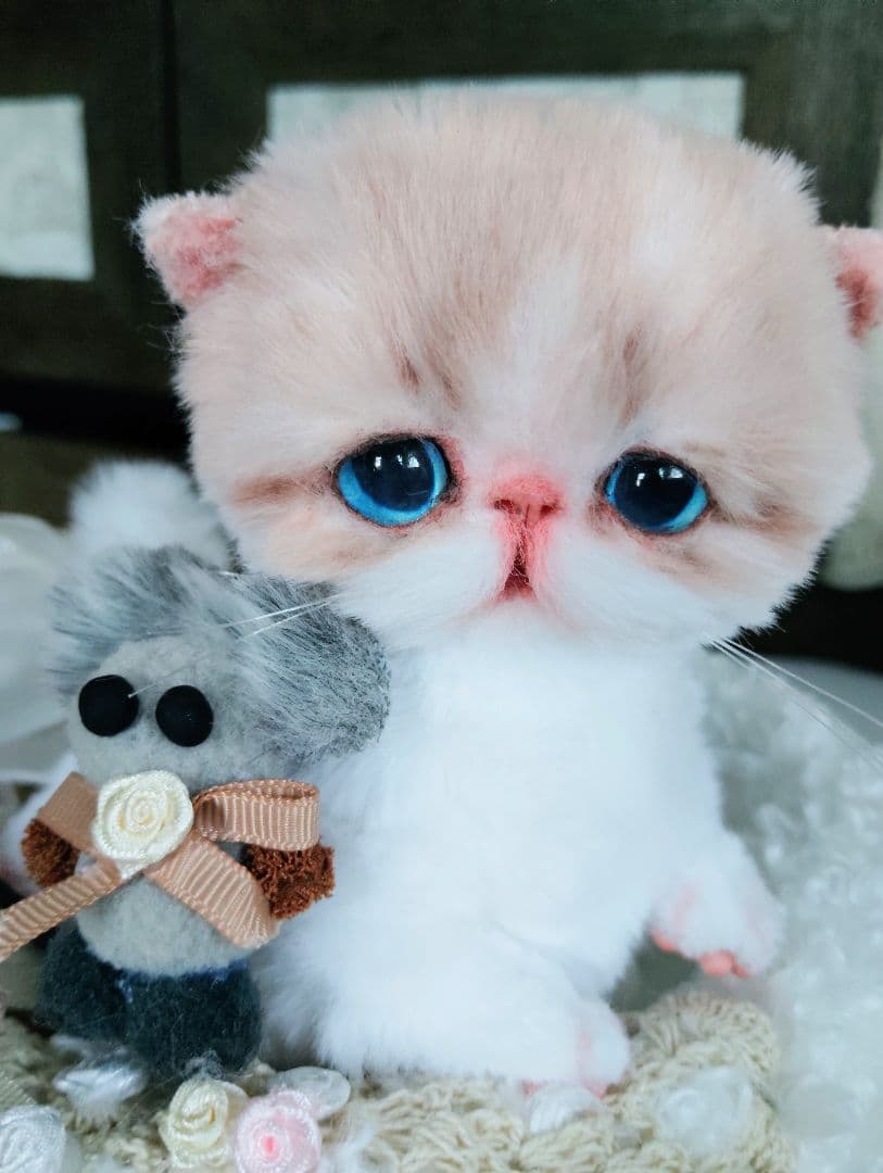 もちもちボディ♡エキゾチック子猫ちゃんとチュチュちゃん♡カゴ♡アートドール♡