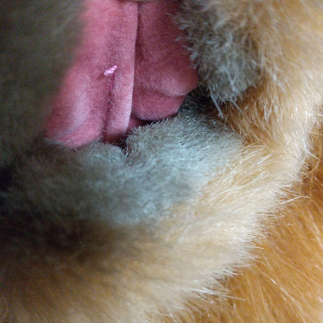 SEKIGUCHI 昭和レトロ チャウチャウ犬 大型ぬいぐるみ レア