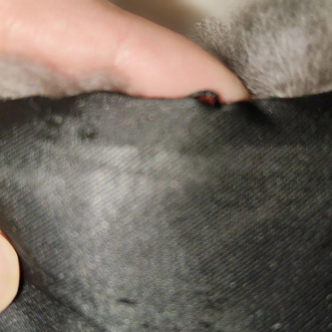 チンチラマフラーショール、、極美品